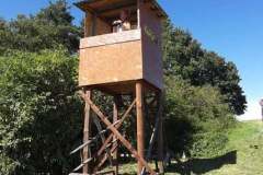 160386336_2514984305462115_1595484046194390995_n