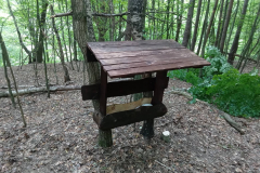 300349432_1230049291087326_4995267214315874069_n