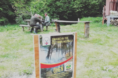 Oheň