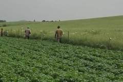 Pomoc poľnohospodárom