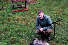 Psík medvedikovitý