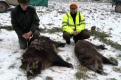 Uspešní  bratranci